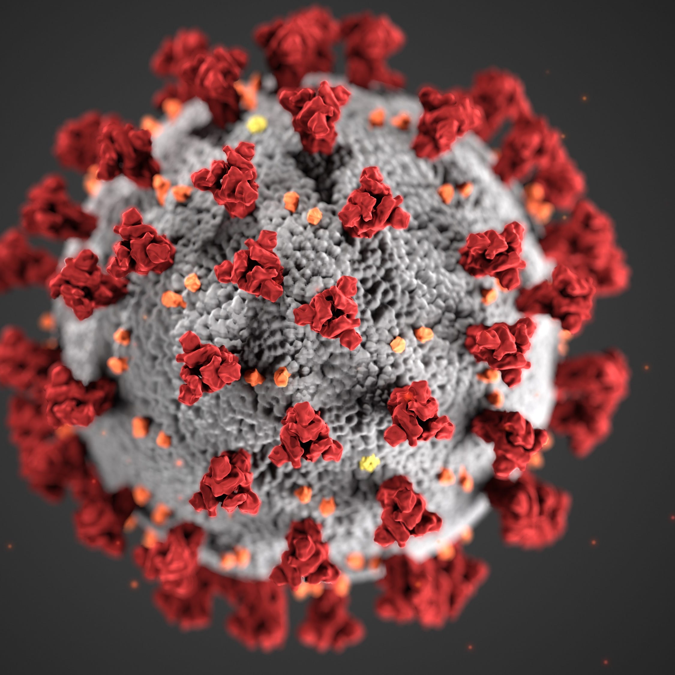 Centers for Disease Control and Prevention illustration of coronavirus.