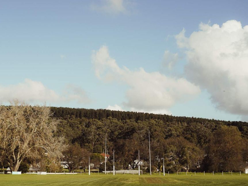 A mowed football oval with a rising pine forest in the distance behind it.