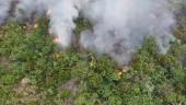 a steam train on a track with smoke coming out of it: Drone footage shows a forest fire in Apuí, Amazonas State, where firefighters continue to try and calm the flames. The blazes have more than doubled from 2018-2020 while deforestation, land grabbing, logging and agribusinesses remain a threat. DRONE IMAGESN°1WL0G5