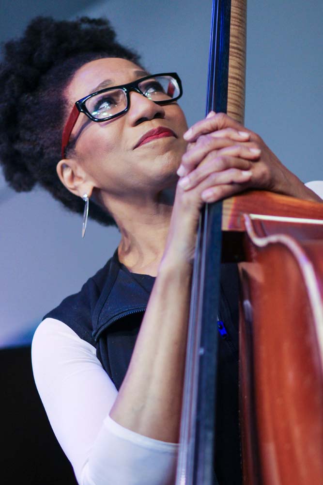 Marion Hayden - detroit jazz festival