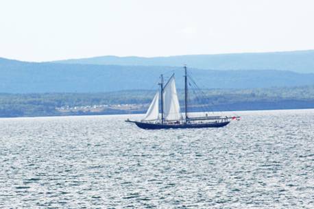 The Bluenose II sailing into Sydney Harbour taken from the shoreline near Victoria Mines. CONTRIBUTED 